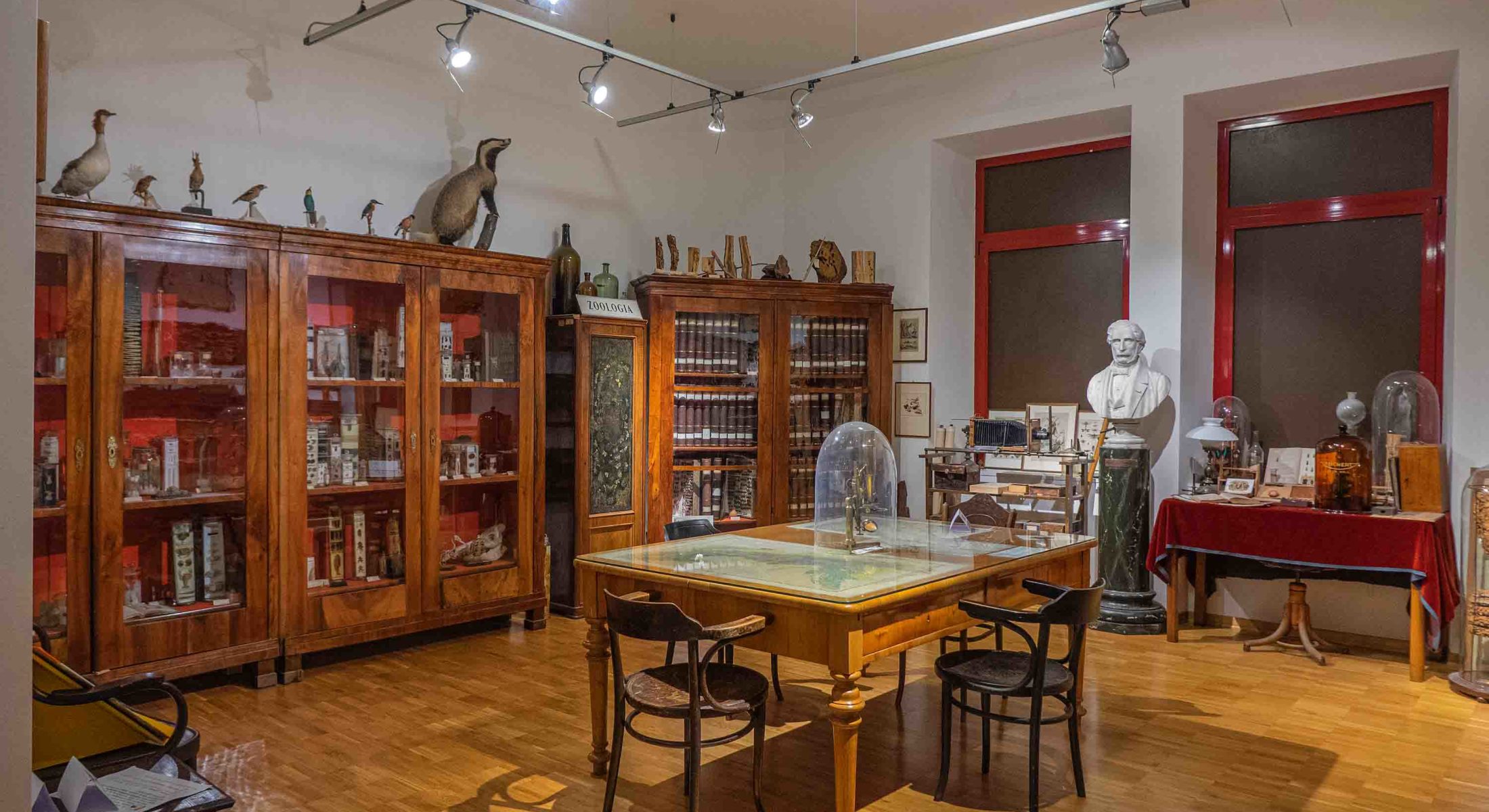 Museo di Storia Naturale - Hotel DoubleTree by Hilton Trieste