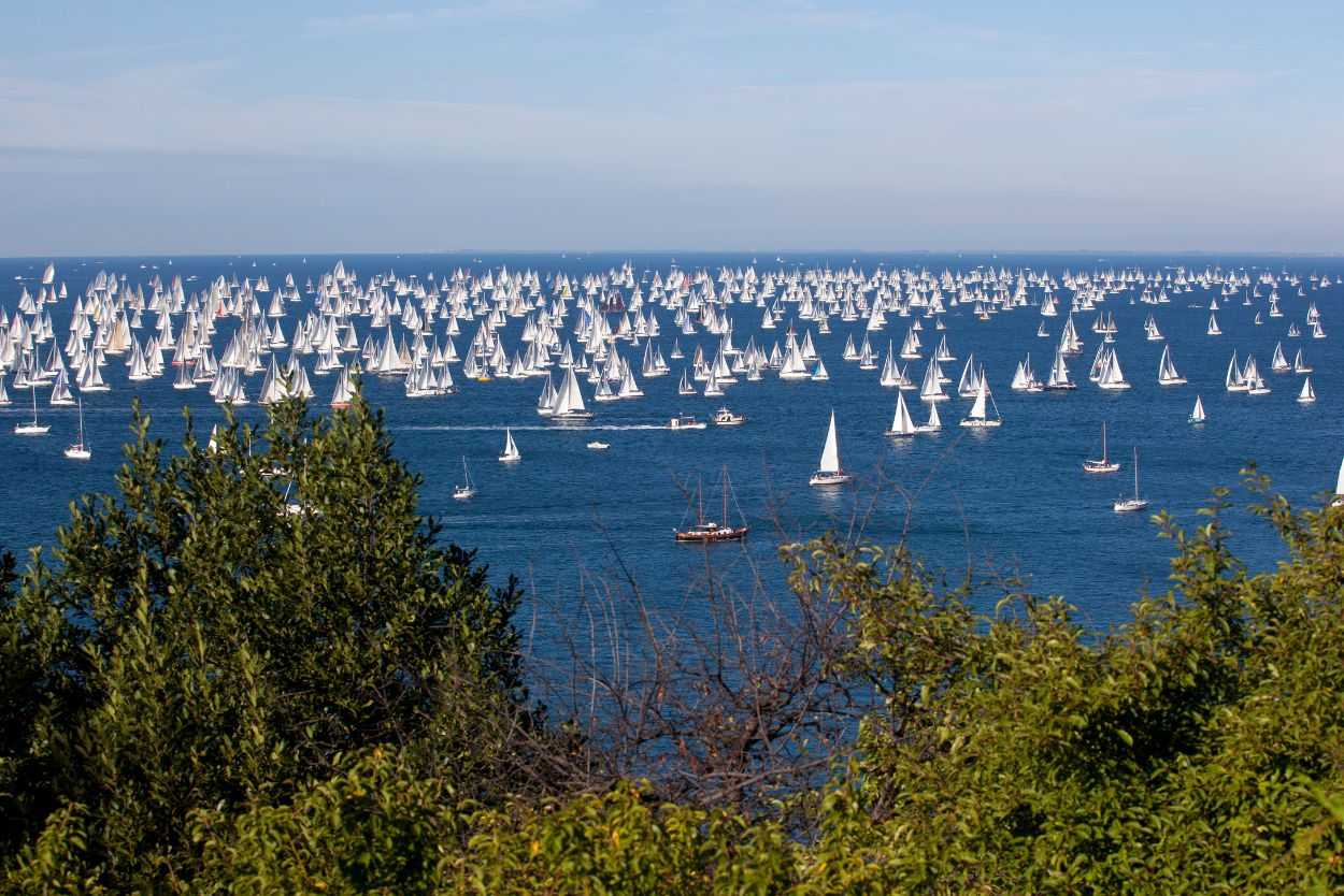 The Barcolana regatta Trieste