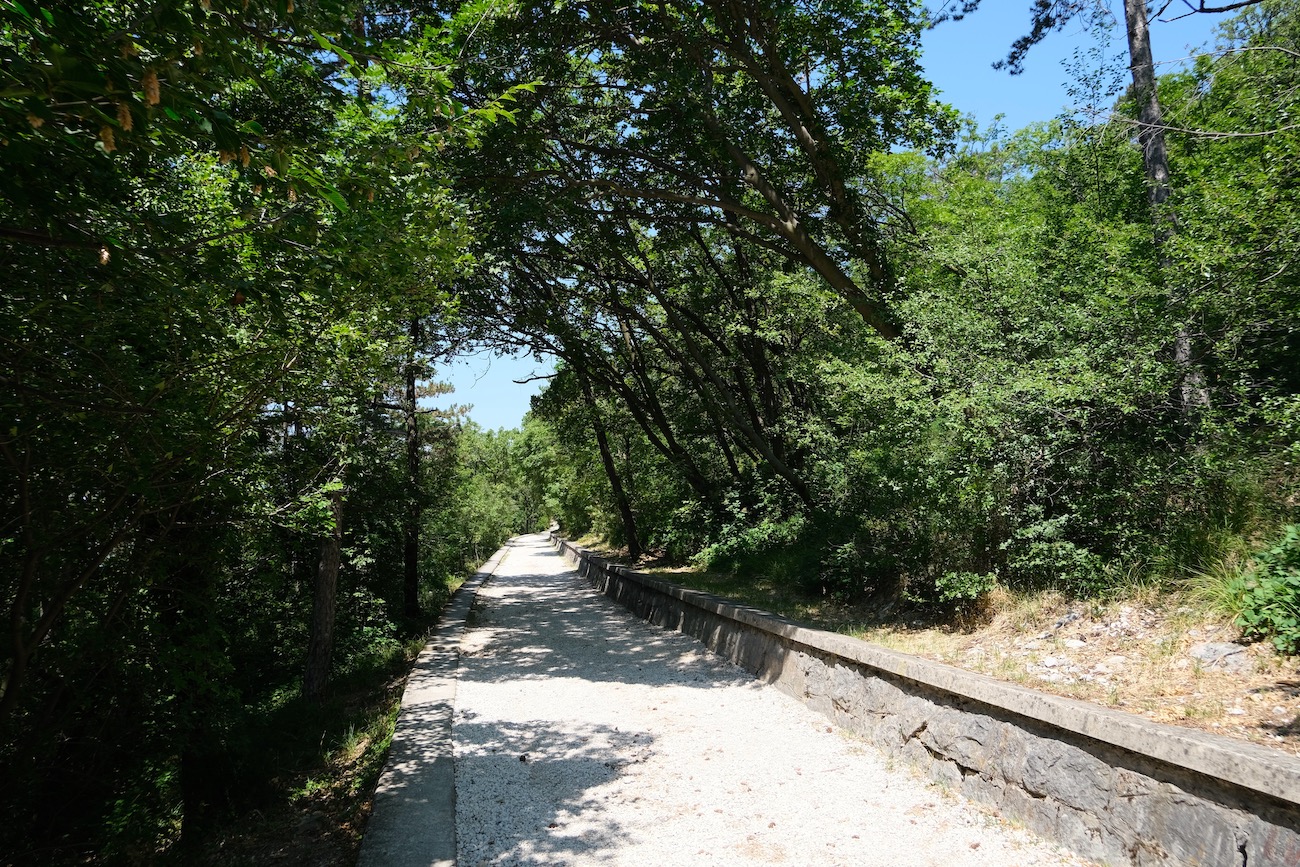 Strada Napoleonica, correre a Trieste
