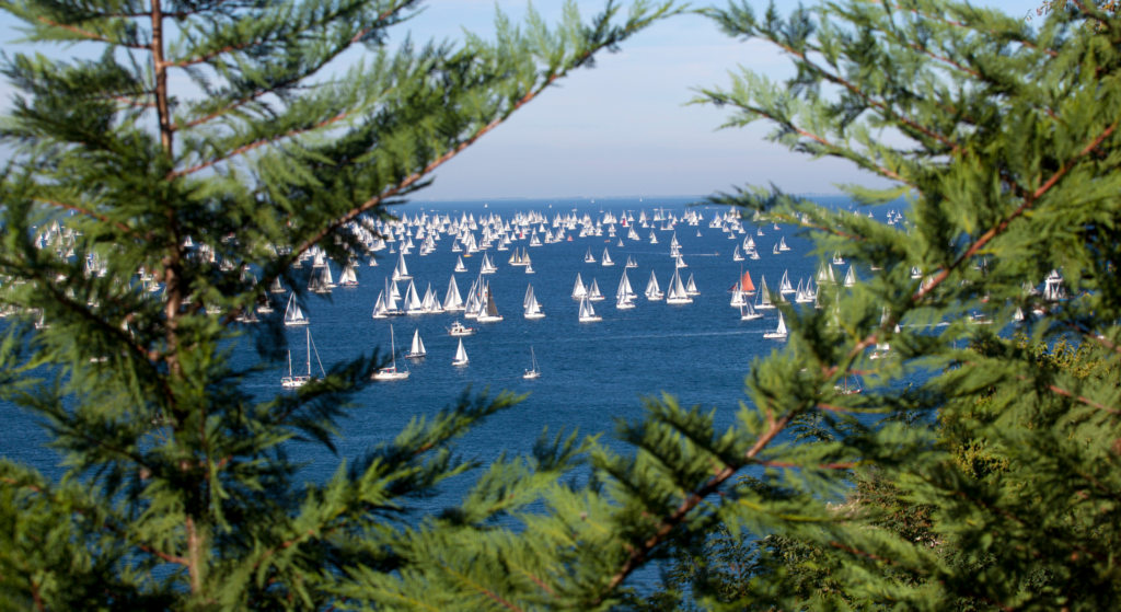 Curiosità Barcolana di Trieste