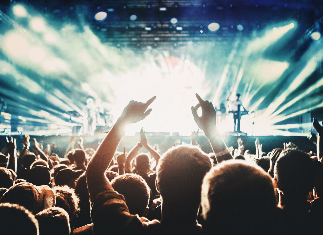 pubblico di un concerto